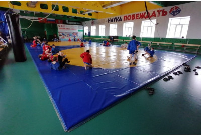 Поставка ковров для борьбы самбо в город Новотроицк